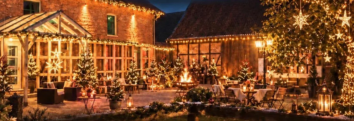 Die Edelkastanie im winterlichen Lichterschmuck